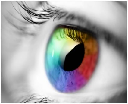 A multi-colored eye